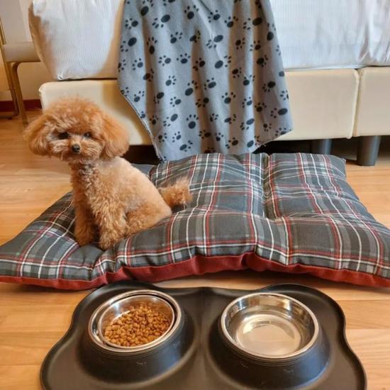 PET LOVERS 拉斐尔酒 店 米蘭 PET LOVERS 拉斐尔酒 店 米蘭